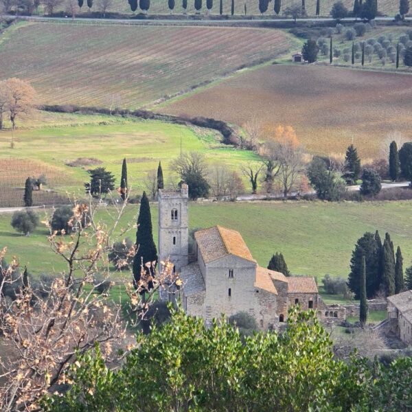 Alla scoperta della millenaria Abbazia di S. Antimo - immagine 8