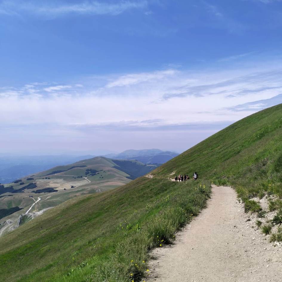 FIORITURE A CASTELLUCCIO E il MONTE VETTORE - immagine 18