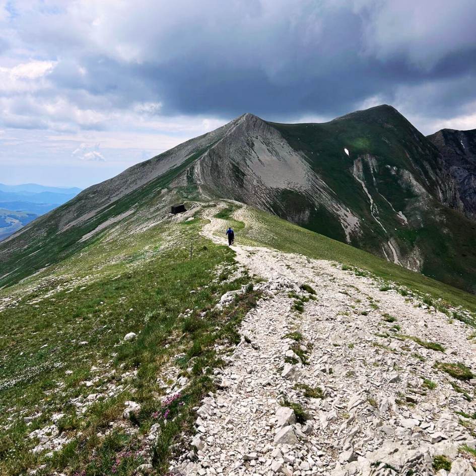 FIORITURE A CASTELLUCCIO E il MONTE VETTORE - immagine 20