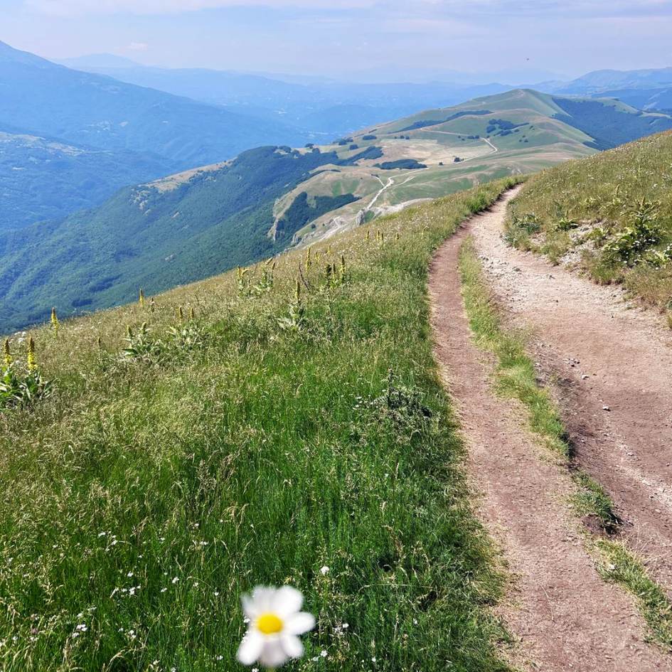FIORITURE A CASTELLUCCIO E il MONTE VETTORE - immagine 21