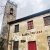 Fioritura delle Giunchiglie sul Monte Croce - immagine 7