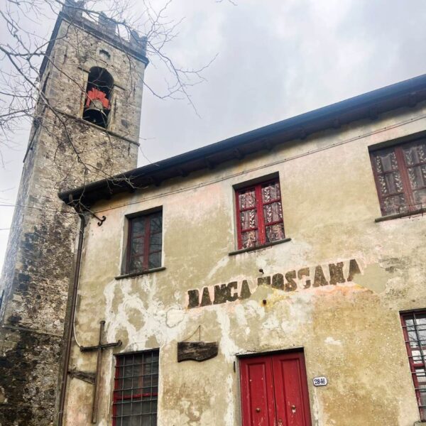 Fioritura delle Giunchiglie sul Monte Croce - immagine 7