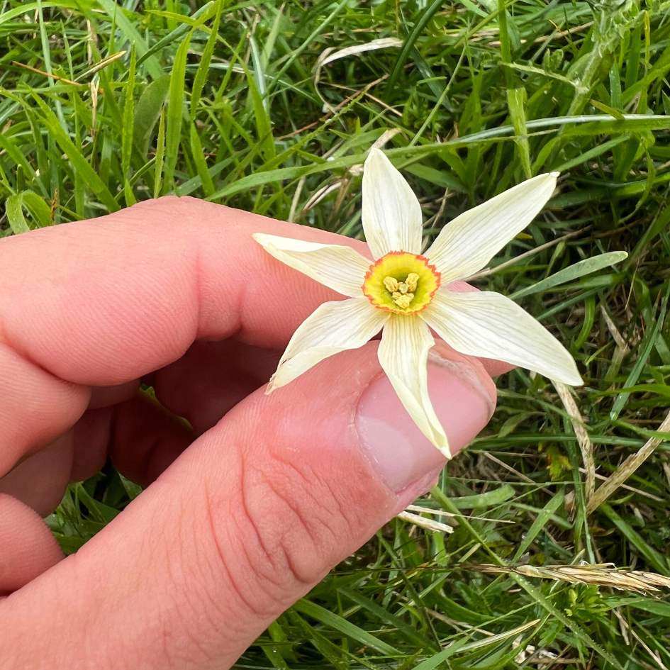 L'Alta Via dei Pastori - immagine 9