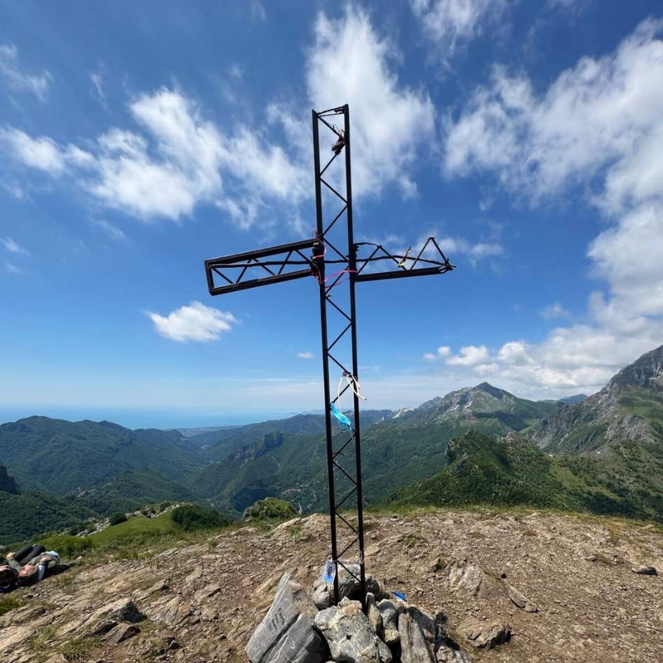 Fioritura delle Giunchiglie sul Monte Croce - immagine 7