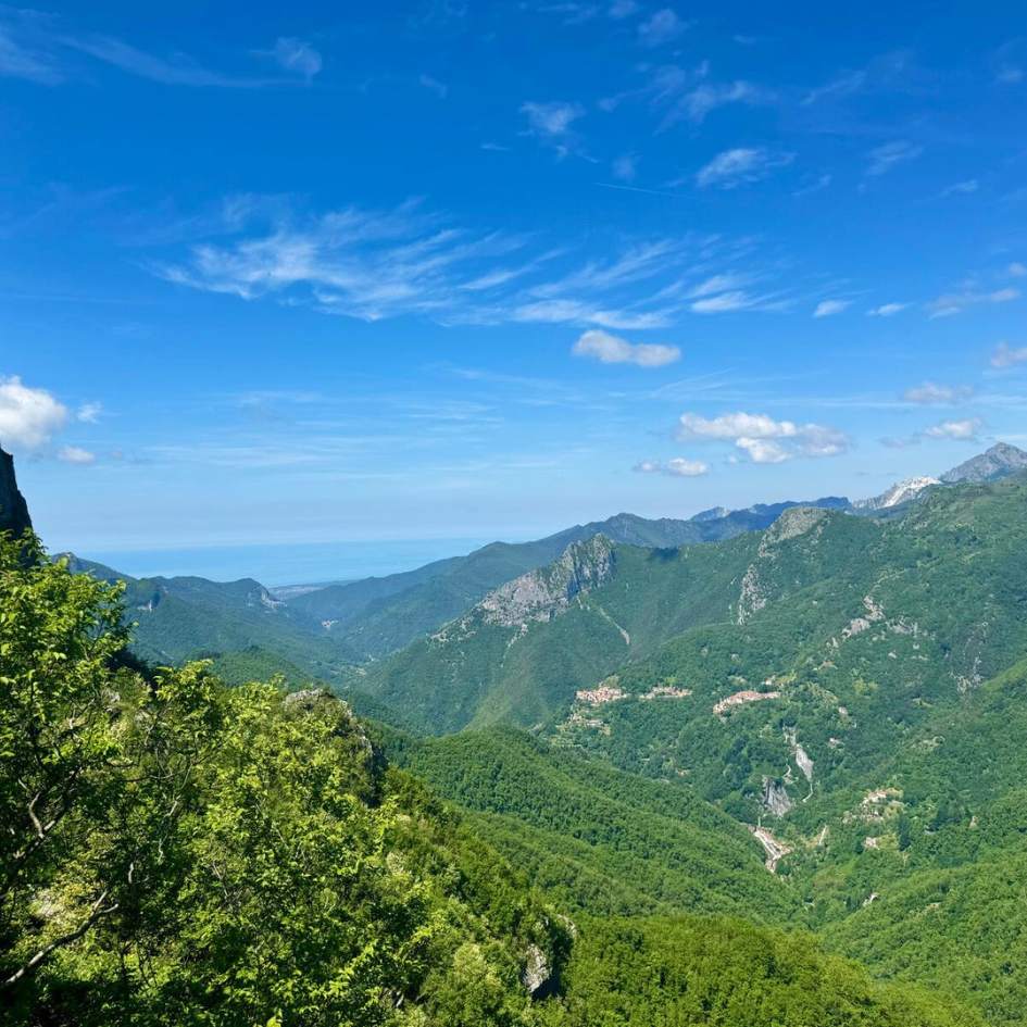 Fioritura delle Giunchiglie sul Monte Croce - immagine 9