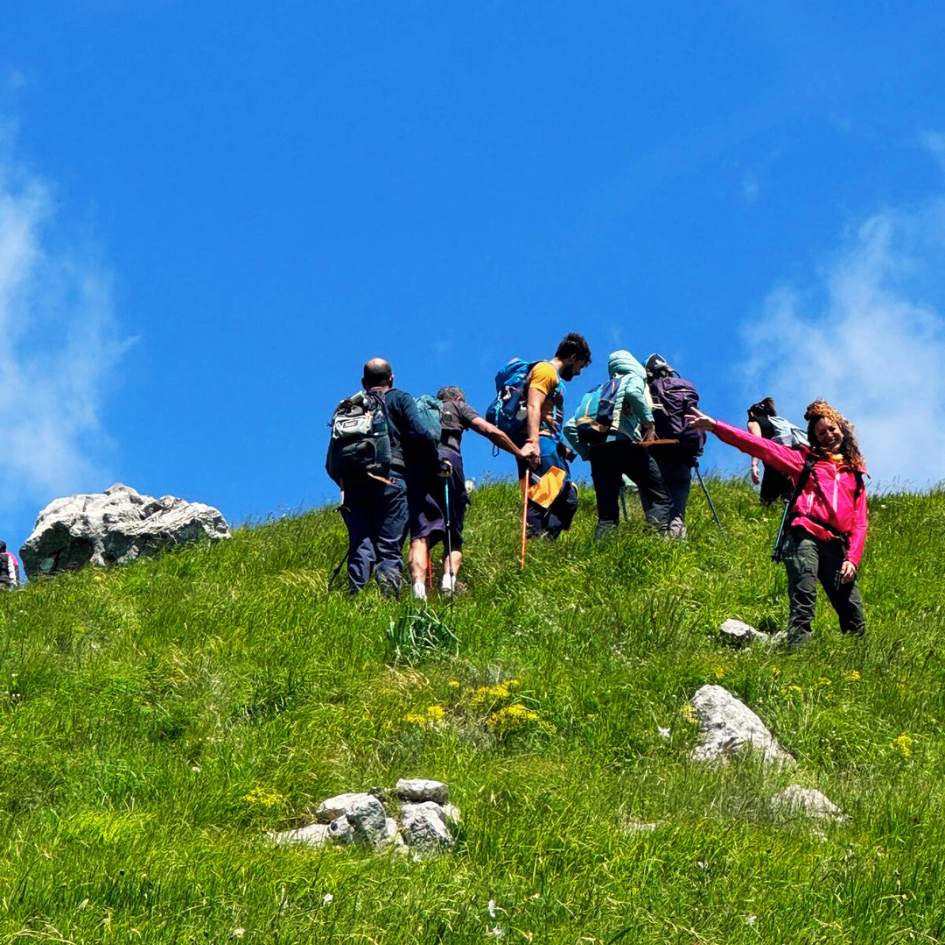 Fioritura delle Giunchiglie sul Monte Croce - immagine 3