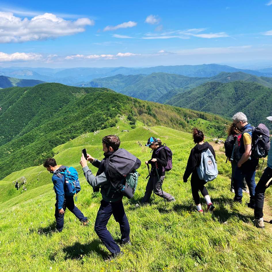 Fioritura delle Giunchiglie sul Monte Croce - immagine 6