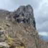 Fioritura delle Giunchiglie sul Monte Croce - immagine 2