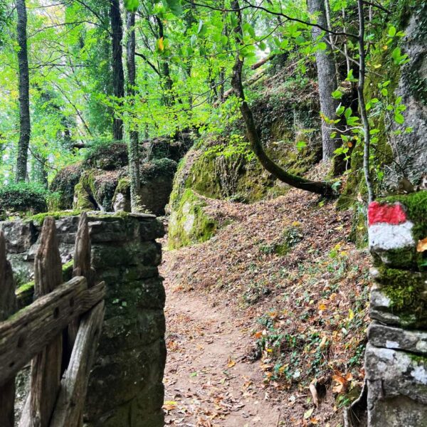 Lucciolata al Bosco delle Fate - immagine 3