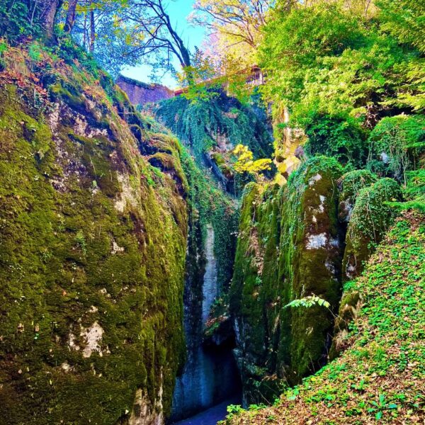 Lucciolata al Bosco delle Fate - immagine 4
