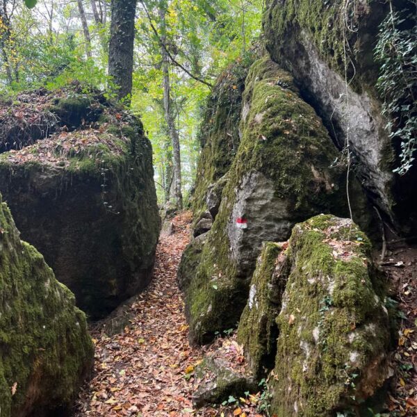 Lucciolata al Bosco delle Fate - immagine 6