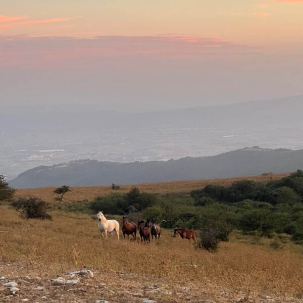 Luna Piena in Calvana - immagine 2
