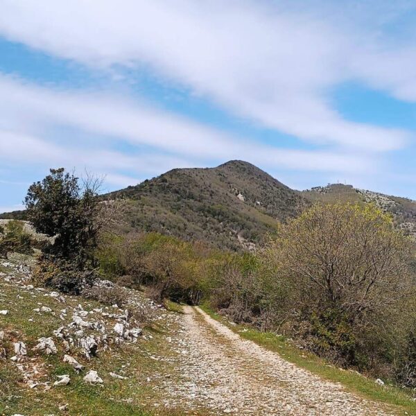 Il Cammino dei Borghi Silenti - immagine 5