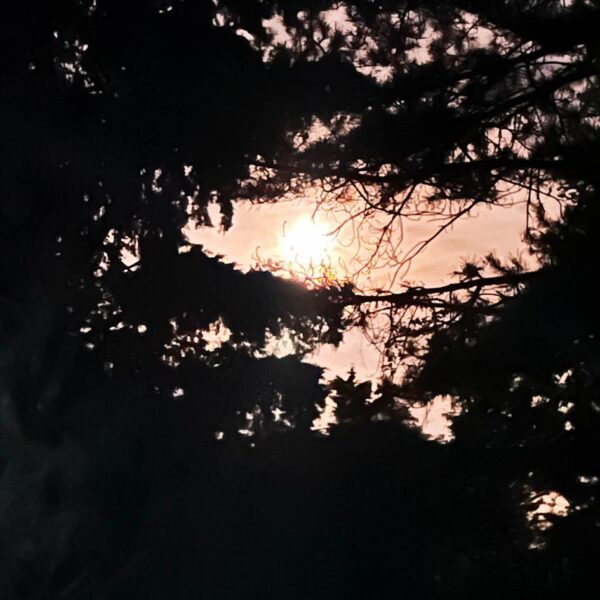 Luna Piena in Calvana - immagine 5