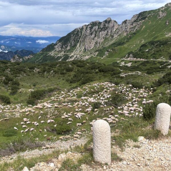Il Cammino delle 52 Gallerie - immagine 14