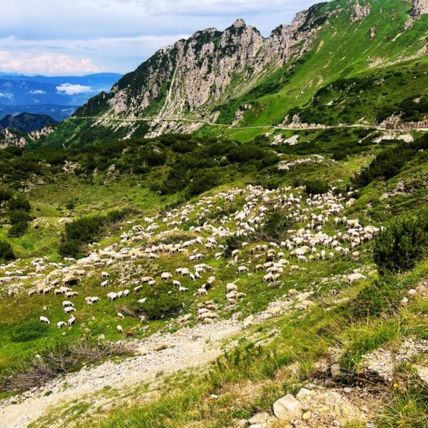 Il Cammino delle 52 Gallerie - immagine 8