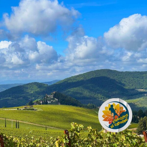 Il Castello di Nipozzano Tra Panorami e Vigne