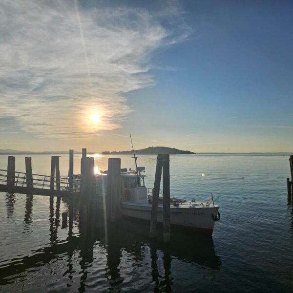 Golden Hour sul Lago Trasimeno - immagine 9