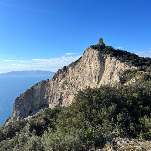 L'Argentario con vista infinito - immagine 3