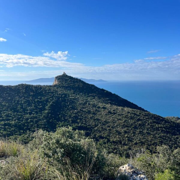 L'Argentario con vista infinito - immagine 8