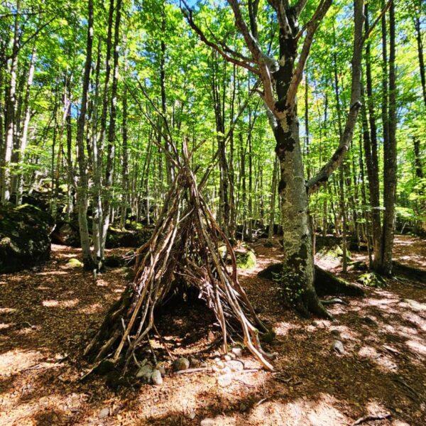 Tra Faggete Dorate e Panorami dell'Amiata - immagine 3