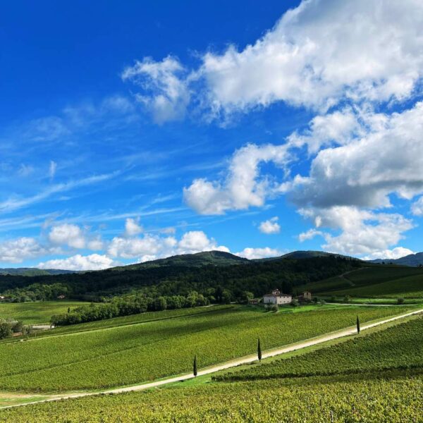 Il Castello di Nipozzano Tra Panorami e Vigne - immagine 3