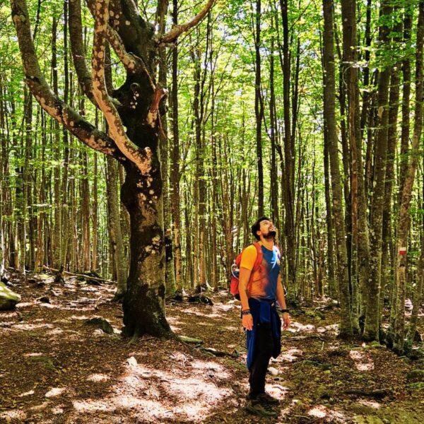 Tra Faggete Dorate e Panorami dell'Amiata - immagine 2