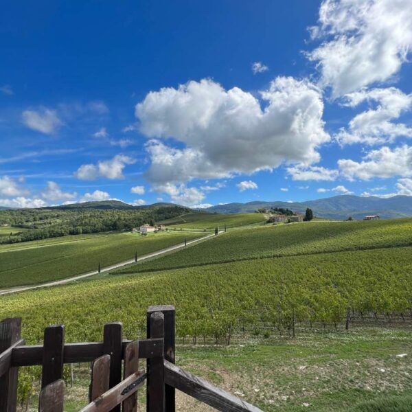 Il Castello di Nipozzano Tra Panorami e Vigne - immagine 5