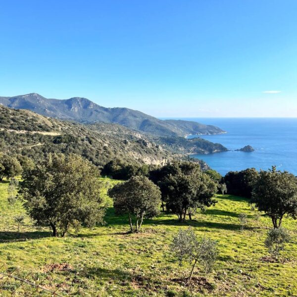 L'Argentario con vista infinito - immagine 6
