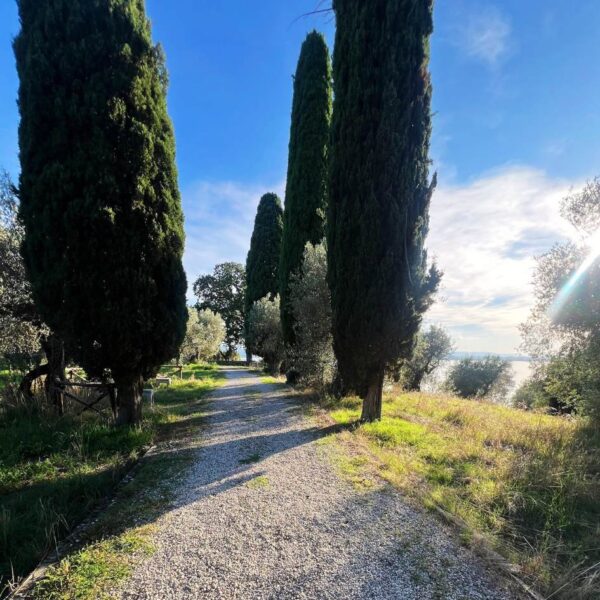 Golden Hour sul Lago Trasimeno - immagine 6