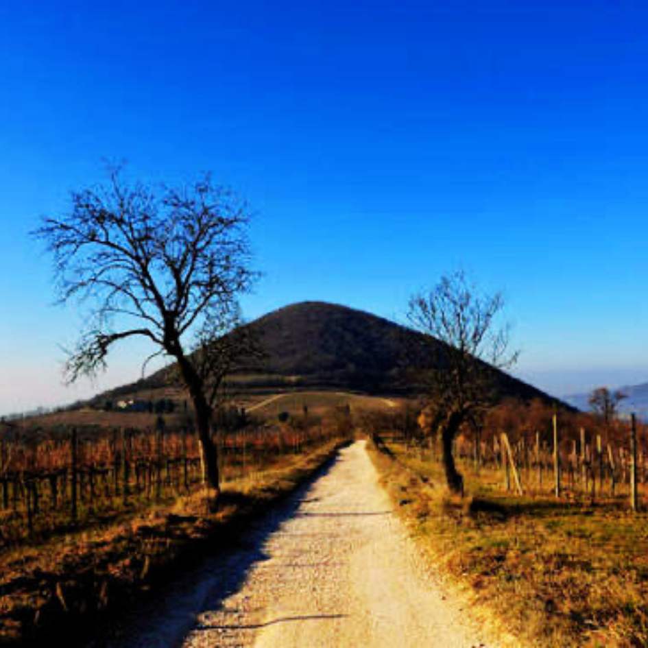 L'Alta Via dei Colli Euganei - immagine 7