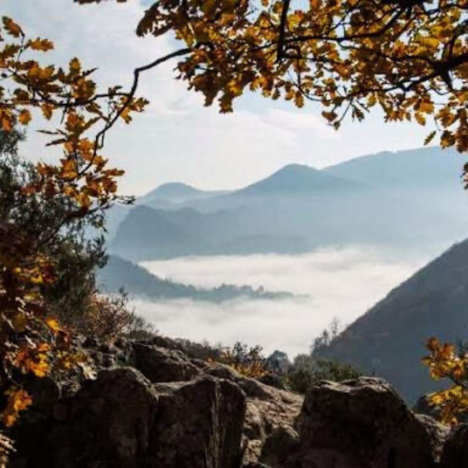 L'Alta Via dei Colli Euganei - immagine 6