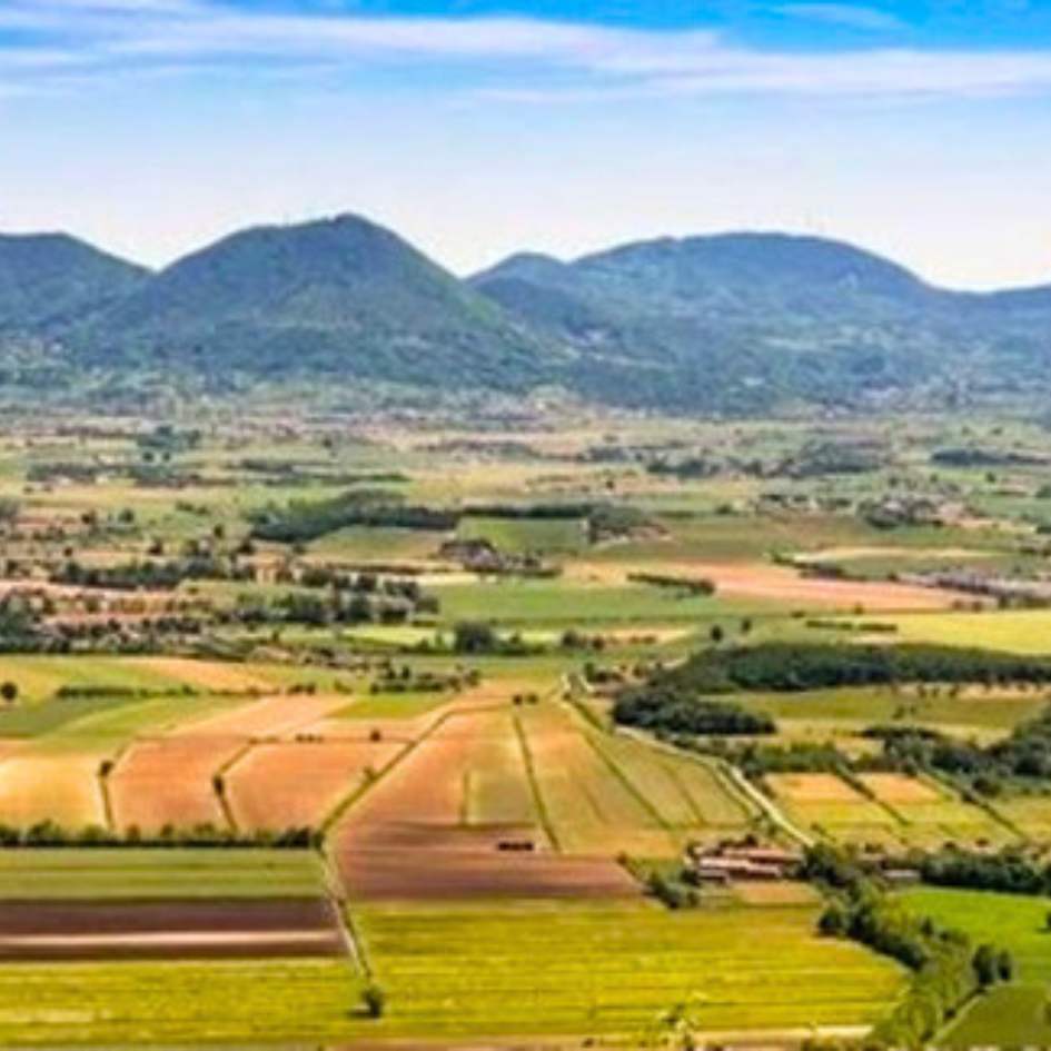 L'Alta Via dei Colli Euganei - immagine 8