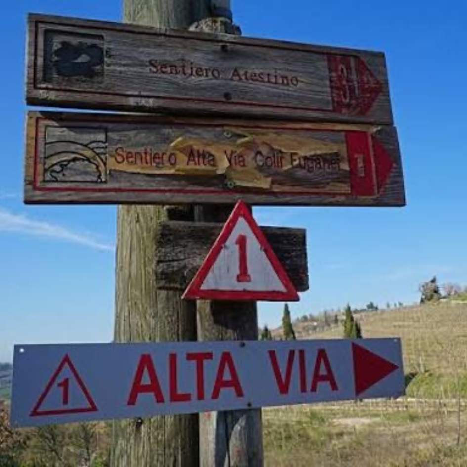 L'Alta Via dei Colli Euganei - immagine 5