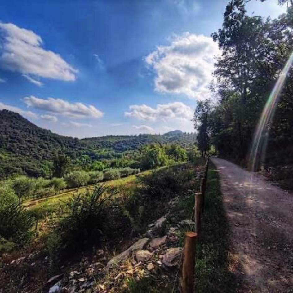 L'Alta Via dei Colli Euganei - immagine 4