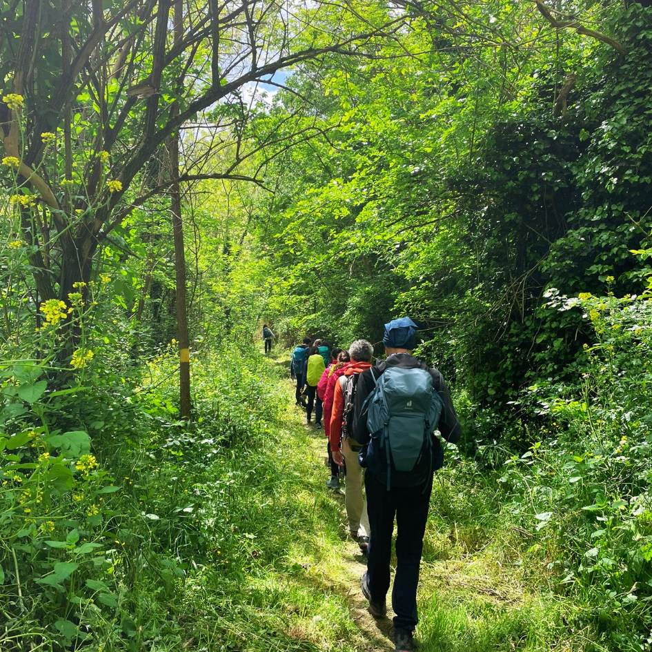 La Tuscia Tra Fiabe e Castelli - immagine 8