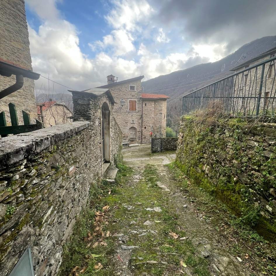 Monte Gabberi: La Montagna che Guarda il Mare - immagine 8