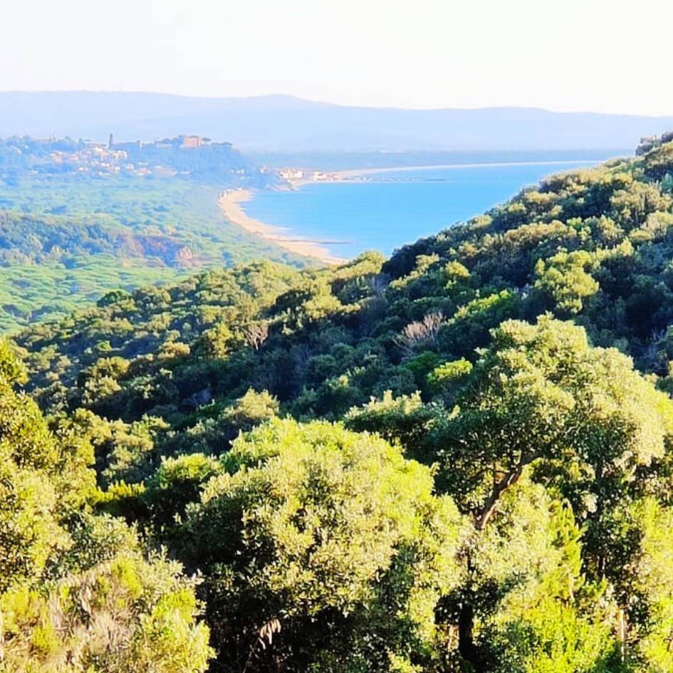 IL GRANDE ANELLO DI PUNTA ALA - immagine 2