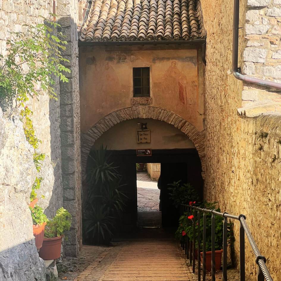 Il Monte Subasio con vista su Assisi - immagine 10
