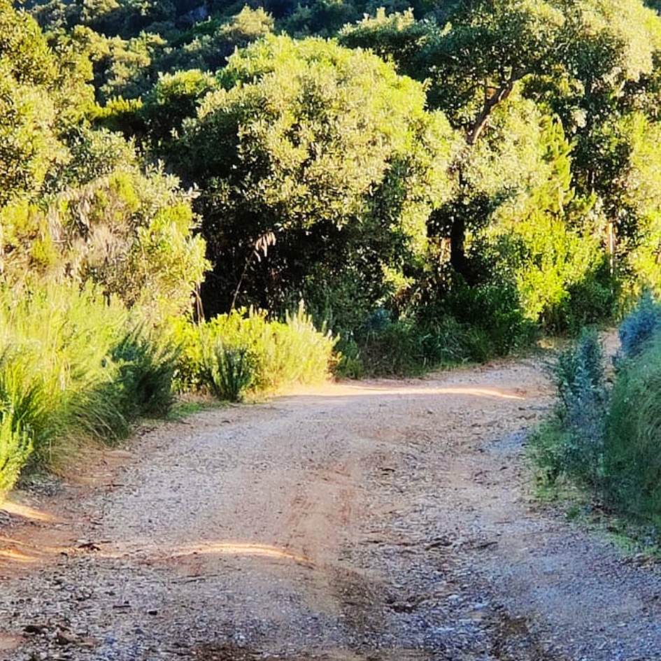 IL GRANDE ANELLO DI PUNTA ALA - immagine 4