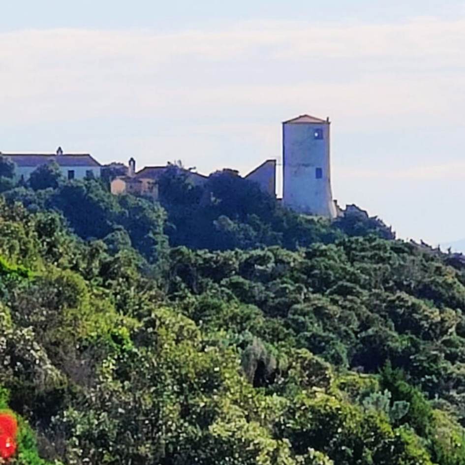 IL GRANDE ANELLO DI PUNTA ALA - immagine 9