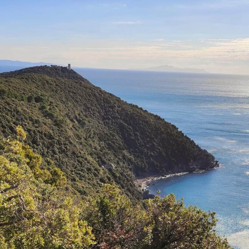 IL GRANDE ANELLO DI PUNTA ALA - immagine 8