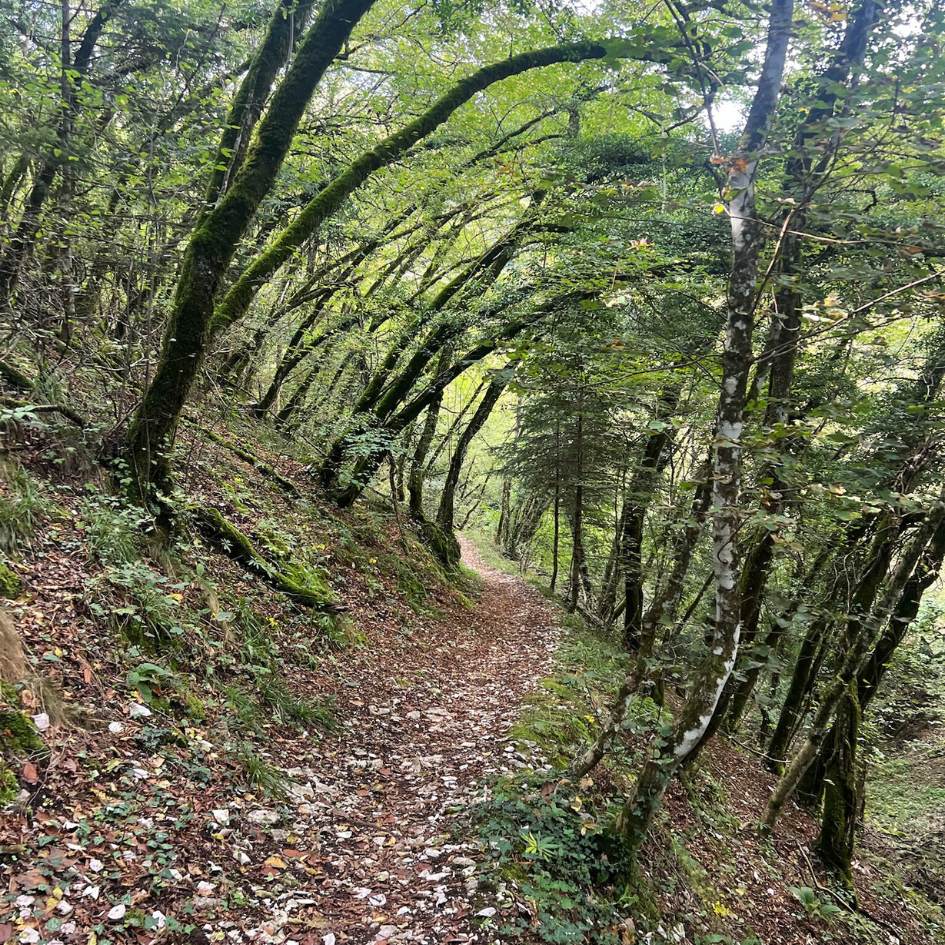 Il Monte Subasio con vista su Assisi - immagine 5