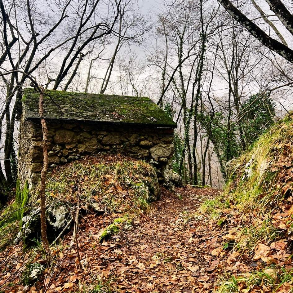 Monte Gabberi: La Montagna che Guarda il Mare - immagine 7