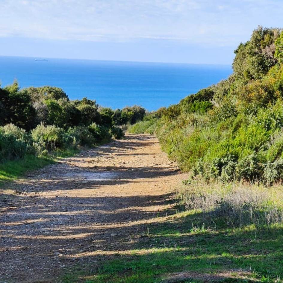 IL GRANDE ANELLO DI PUNTA ALA - immagine 7