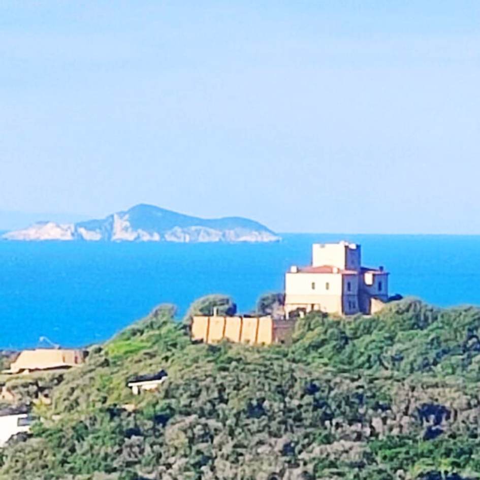 IL GRANDE ANELLO DI PUNTA ALA - immagine 3