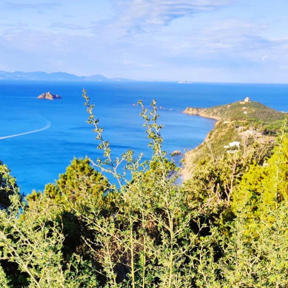 IL GRANDE ANELLO DI PUNTA ALA - immagine 6