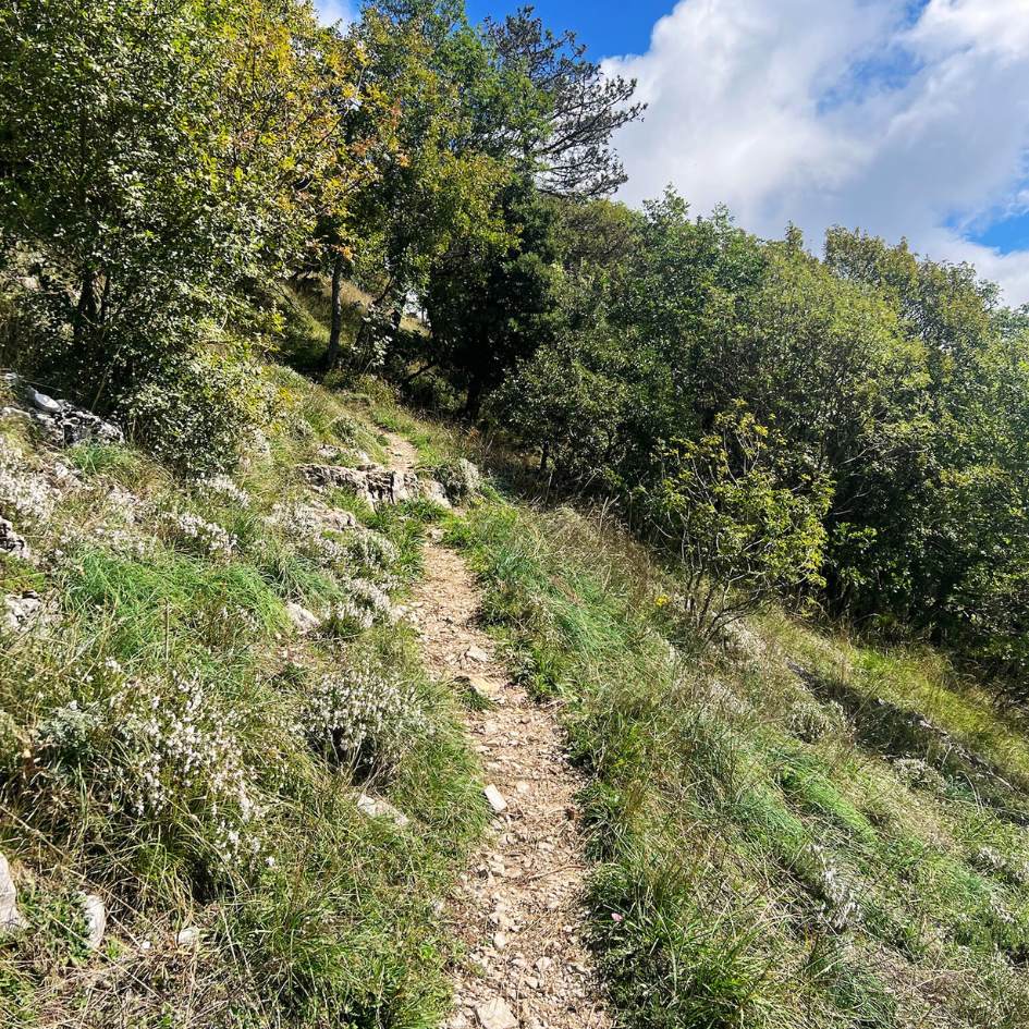 Il Monte Subasio con vista su Assisi - immagine 4