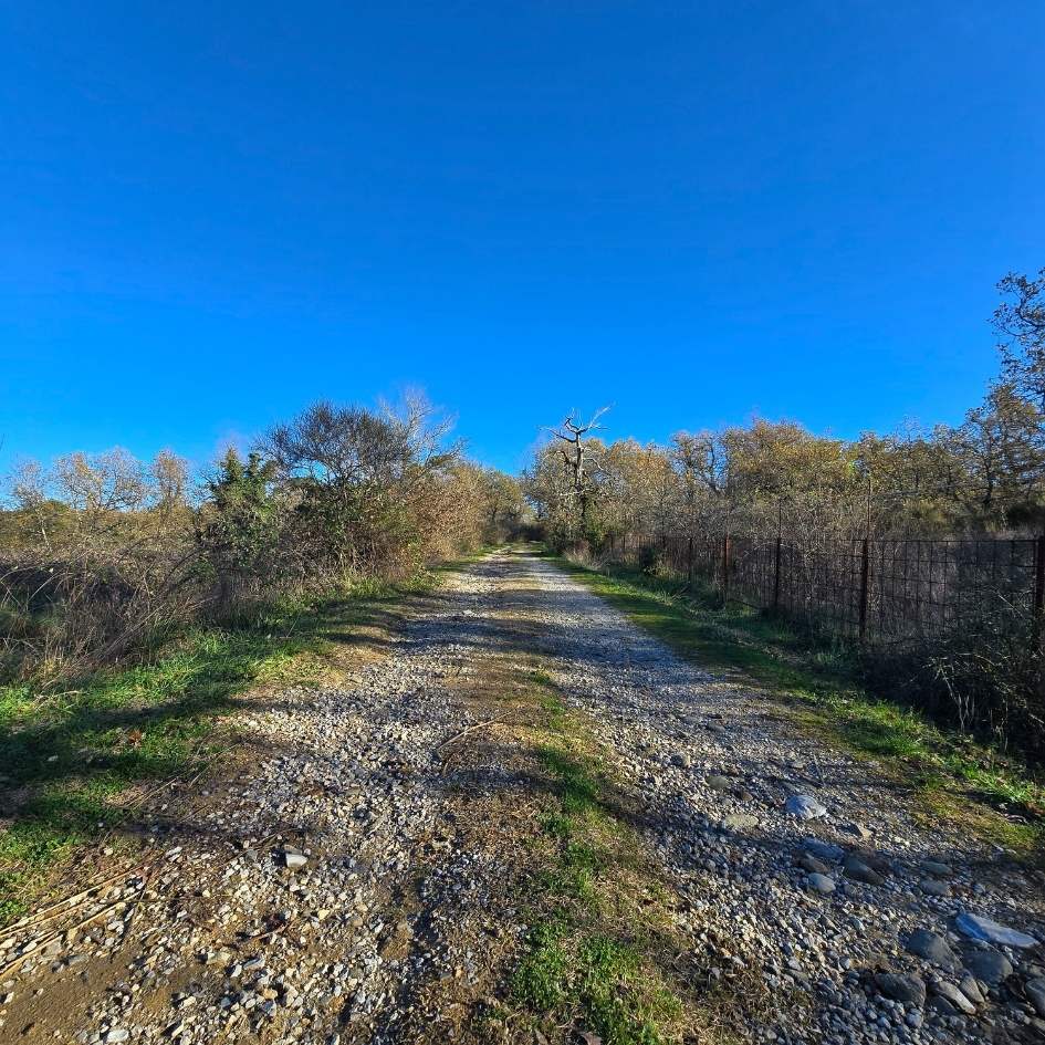 I Tesori Segreti della Valdambra - immagine 8