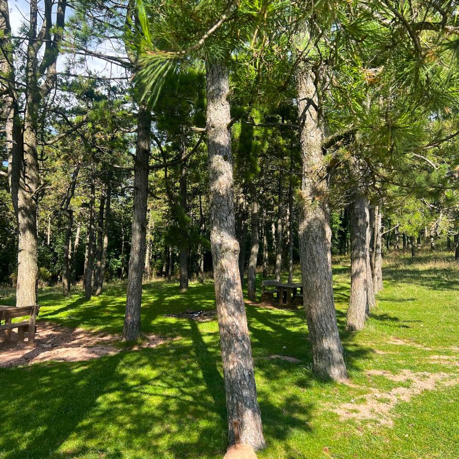 Il Monte Subasio con vista su Assisi - immagine 12